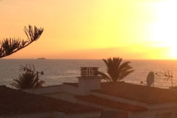 radical admin - votre réussite est notre ressource - gestion administrative - administratif - pme - fiduciaire - tva - impôts - ressources humaines - immobilier - location - vente - portugal - neuchâtel - rute marquez - gestion d'entreprise - location maisons de vacances - appartements