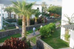 radical admin - votre réussite est notre ressource - gestion administrative - administratif - pme - fiduciaire - tva - impôts - ressources humaines - immobilier - location - vente - portugal - neuchâtel - rute marquez - gestion d'entreprise - location maisons de vacances - appartements